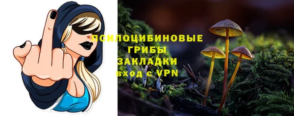 таблы Алзамай