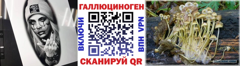 Галлюциногенные грибы MAGIC MUSHROOMS  Ардон 
